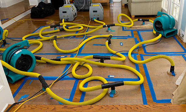 Professional Sewage Cleanup technician working in Lincoln University, PA